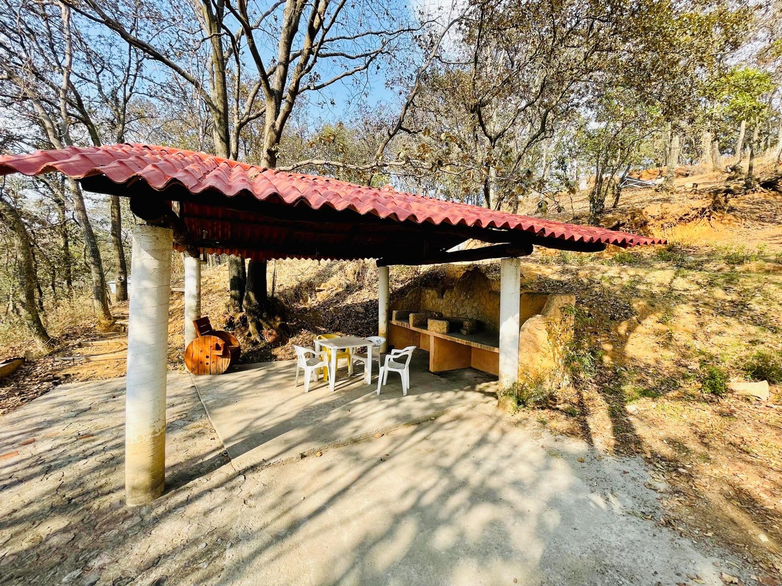 Suite Plus Sala imagen 3