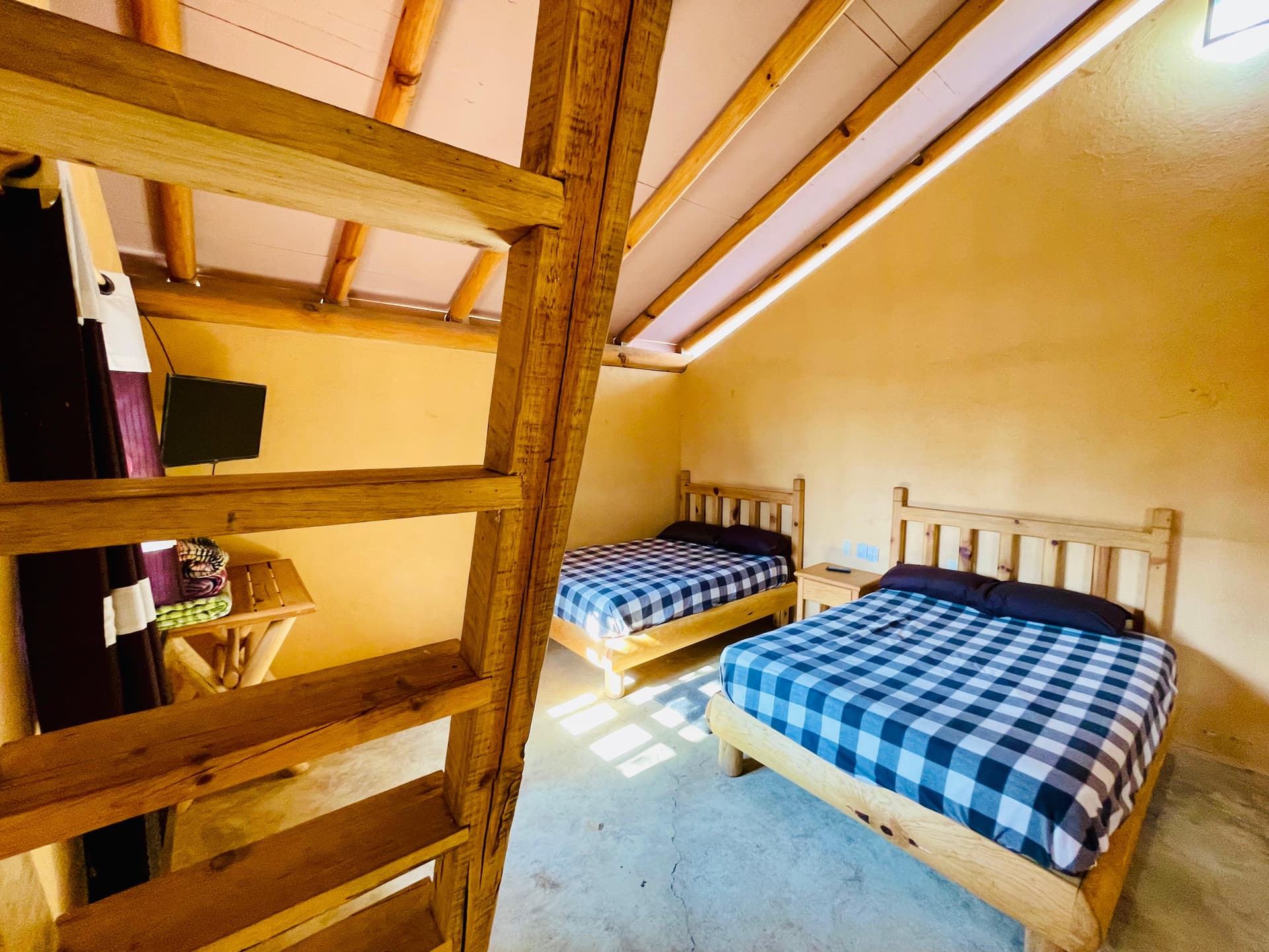 Suite Plus Terraza